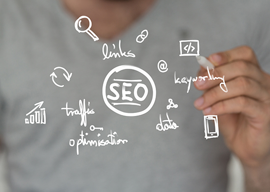 check seo free check seo free